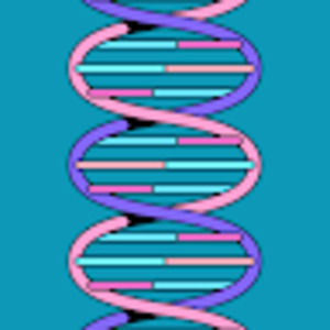 Meet your Posher, Luning